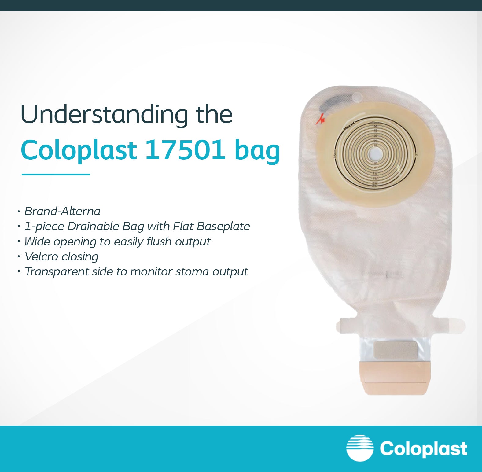 Coloplast 衛生用品 5167 新品未開封 10箱セット Understanding Coloplast 17501 Bag