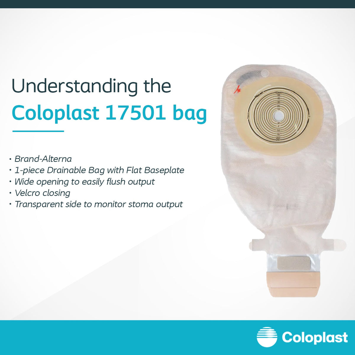 Understanding Coloplast 17501 Bag