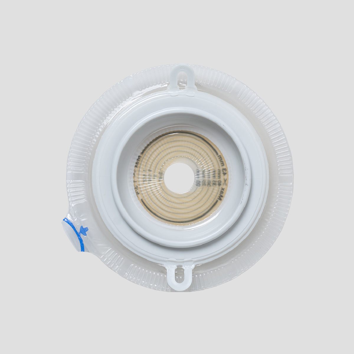 Alterna Deep Convex Baseplate 1