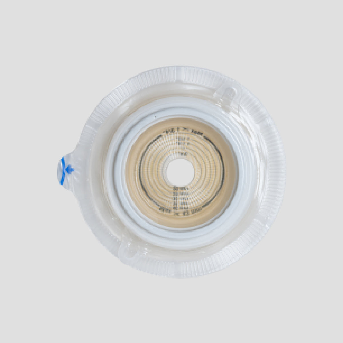 Alterna Light Convex Baseplate 1